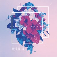 Blackbird Blackbird - Quai Baco