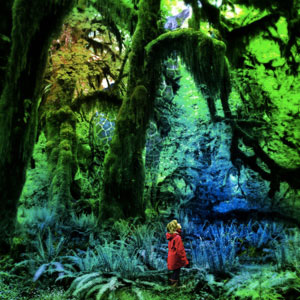 Jacco Gardner "Cabinet of Curiosities" - Quai Baco