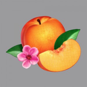 Phoenix Bankrupt - Quai Baco