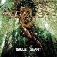 Saule "Geant" - Quai Baco