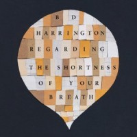 BD Harrington - Quai Baco