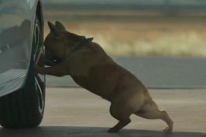 Quelle est la musique de la pub Citroën avec un chien ?
