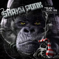 Shaka Ponk – "The Black Pixel Ape" : La chronique