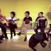Les Hurlements D’Léo – « On Boira De La Bière » en session acoustique