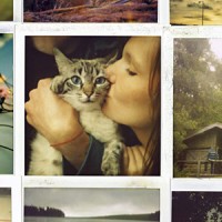 Cocoon : un retour prévu pour 2016 ?