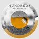 Hundreds - « Wilderness » (Acoustic Edition) : La chronique