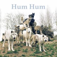 Hum Hum - "EP Blueberries" : La chronique