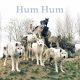 Hum Hum - "EP Blueberries" : La chronique