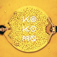 Ko Ko Mo - "Lemon Twins" : La chronique