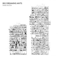 Nana Adjoa - "Big Dreaming Ants" : La chronique